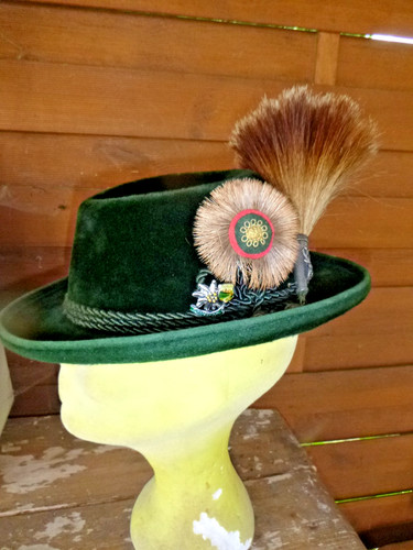 Chiemgauer velourhaar - chiemgauer,