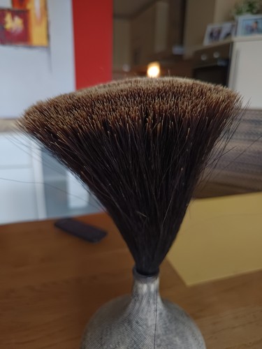 Alter gamsbart aus - alter,