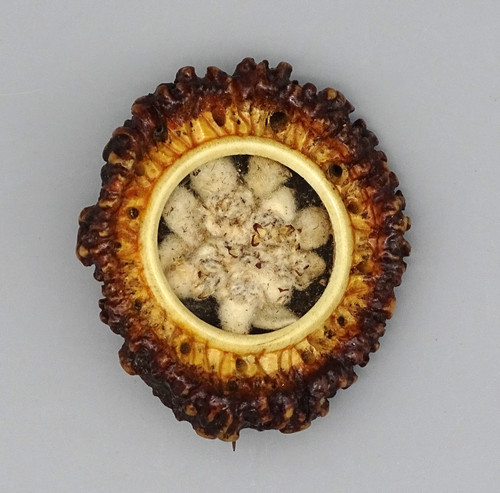 Trachtenschmuck brosche oder - trachtenschmuck:,